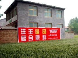 博白如何让墙体广告展现最大化效果