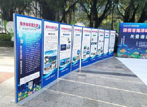 博白KT板的种类和知识。